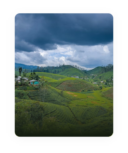 Agricultural